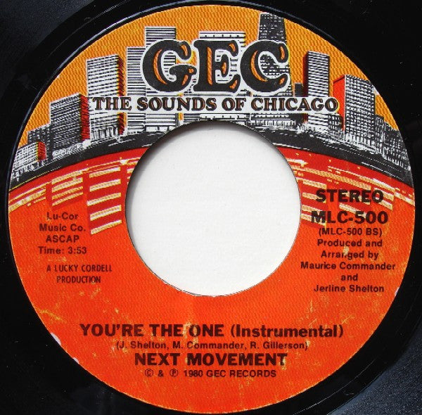 The Next Movement : You're The One (7", Styrene)