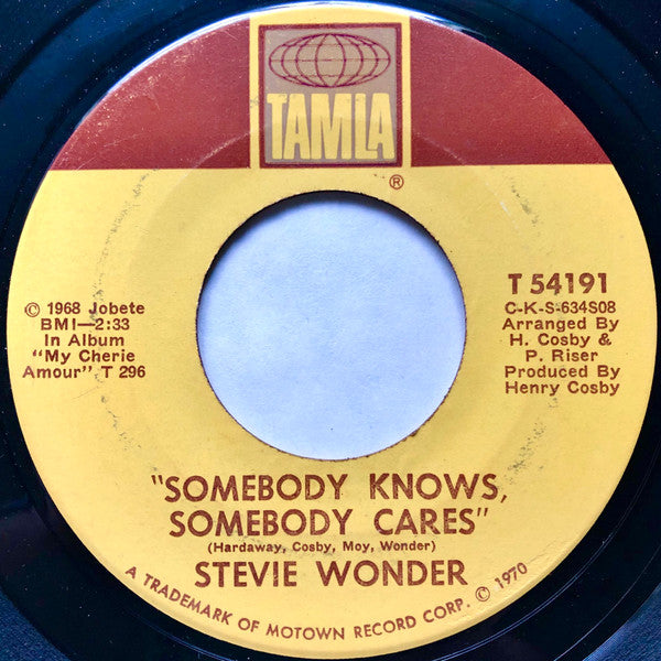 Stevie Wonder : Never Had A Dream Come True (7")