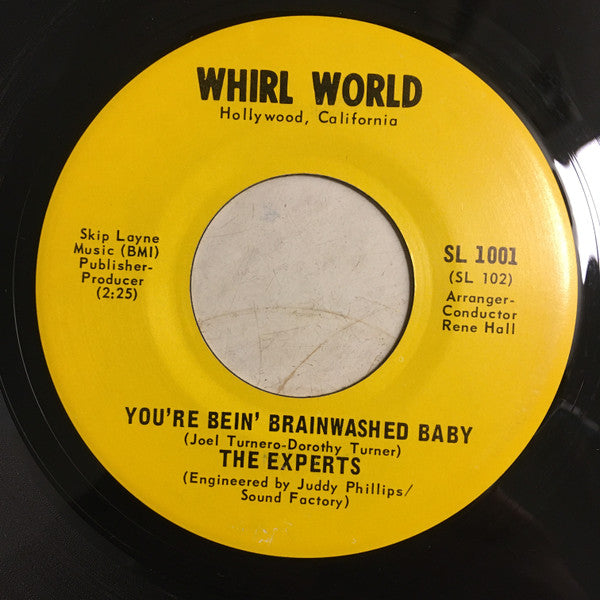 The Experts (4) : Wake Me When It's Over / You're Bein' Brainwashed Baby (7")