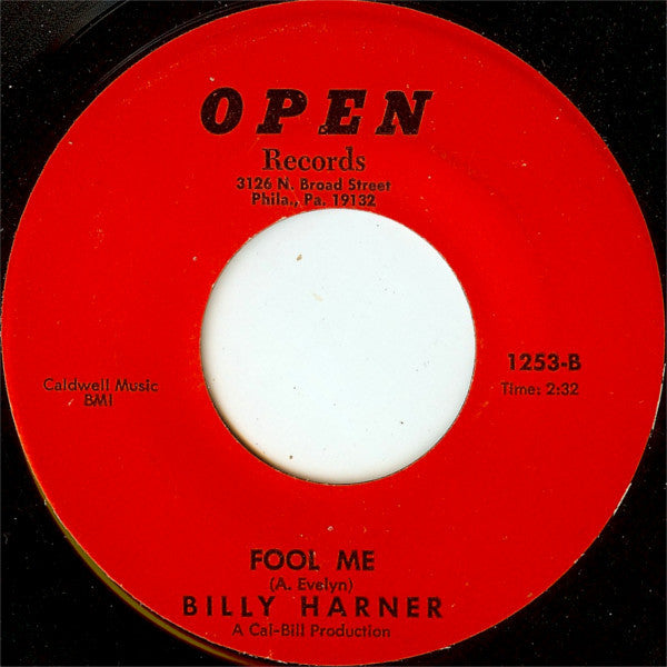 Billy Harner : She's Almost You (7", Mono, Rai)