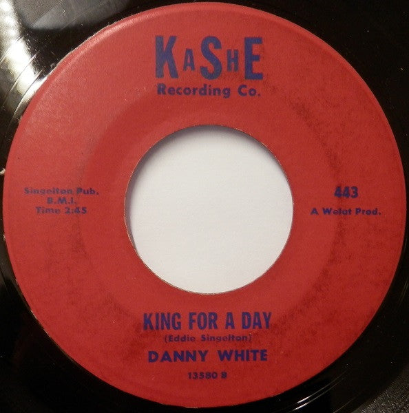 Danny White (2) : Never Like This (7")