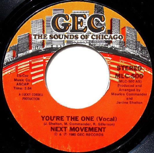 The Next Movement : You're The One (7", Styrene)