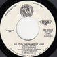 Sid Herring : Do It In The Name Of Love / Feelin In Love (7", Promo, Styrene)