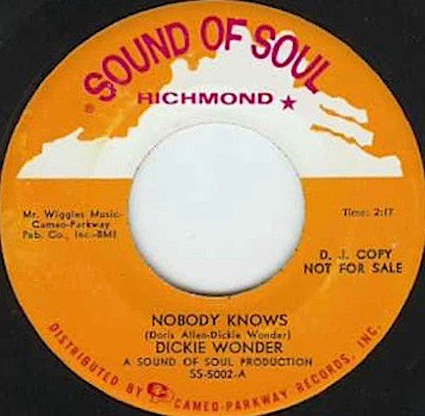 Dickie Wonder : Nobody Knows  (7", Single, Promo)