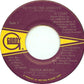 Teena Marie : Behind The Groove (7", Single)