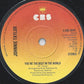 Johnnie Taylor : Disco Lady (7", Single, Sol)