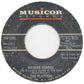 The Platters : Washed Ashore (On A Lonely Island In The Sea) / What Name Shall I Give You My Love (7", Single)