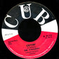 The Pyramids (5) : I'm The Playboy / Cryin' (7", Single, MGM)