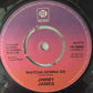 Jimmy James (2) : Life (7", Single)