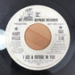 Mary Wells Backed By "Memphis" : I Found What I Wanted / I See A Future In You (7", Single, Promo)