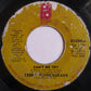 Teddy Pendergrass : Can't We Try / This Gift Of Life (7", Styrene, San)