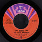 The Isley Brothers : Lay Lady Lay / Vacuum Cleaner (7", Single, Styrene, Pit)