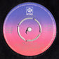 Ecstasy, Passion & Pain : Good Things Don't Last Forever / Born To Lose You (7")