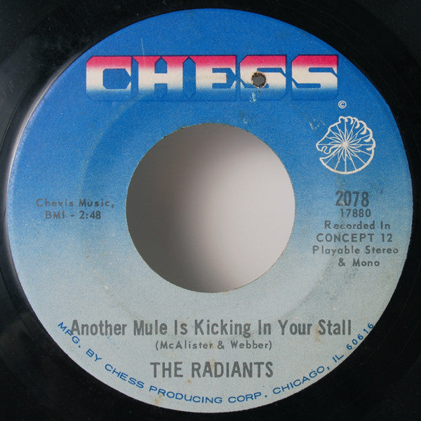 The Radiants : Book Of Love / Another Mule Is Kicking In Your Stall (7")