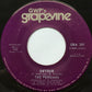 The Persians : Detour / I Can't Take It Anymore (7")