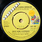 Flaming Emeralds : Have Some Everybody (7")