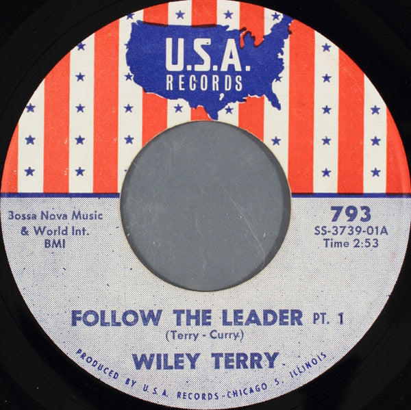 Wiley Terry : Follow The Leader (7")