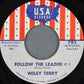 Wiley Terry : Follow The Leader (7")