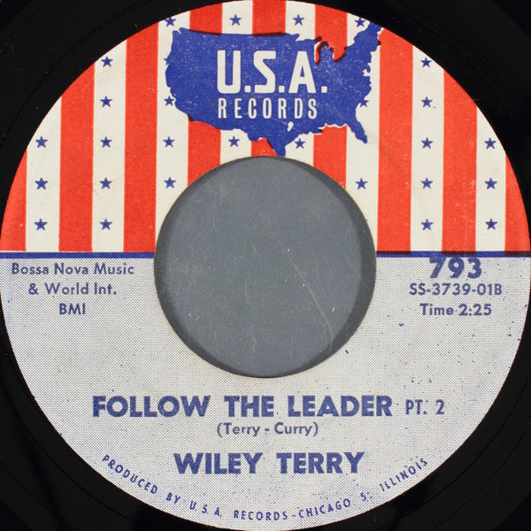 Wiley Terry : Follow The Leader (7")