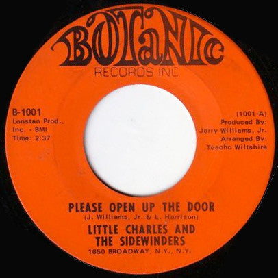 Little Charles And The Sidewinders : Please Open Up The Door (7")