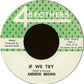 Andrew Brown : If We Try (7", Mono, Styrene)