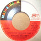 Special Delivery : I Destroyed Your Love (7", Single, Styrene)