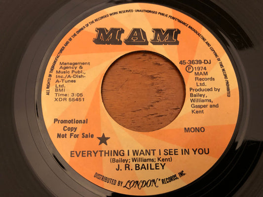 J.R. Bailey : Everything I Want I See In You (7", Promo)