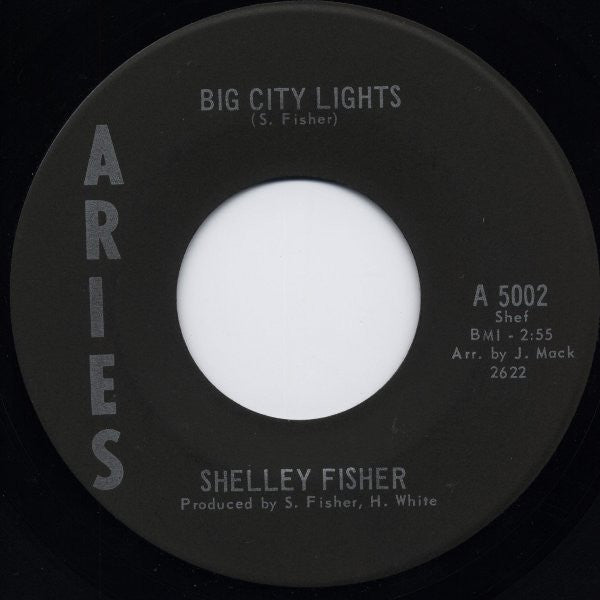 Shelley Fisher : Big City Lights (7")