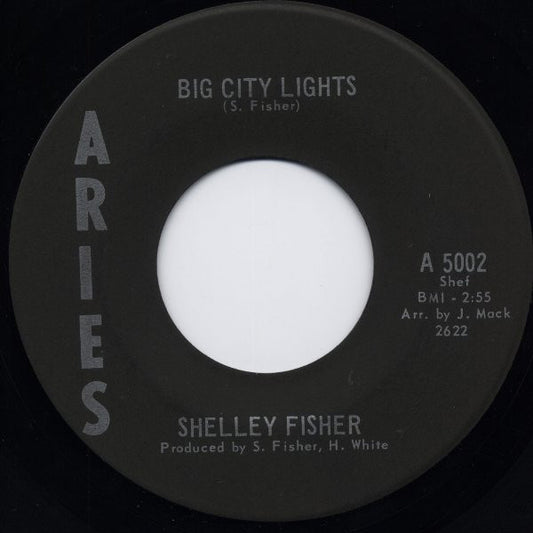 Shelley Fisher : Big City Lights (7")