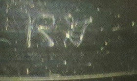 James Brown And The Famous Flames* : I Can't Stand Myself (When You Touch Me) (7", Single, Blu)