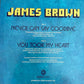 James Brown : Never Can Say Goodbye / You Took My Heart (7", Single)