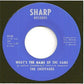 The Sheppards : What's The Name Of The Game (7")