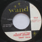 Timmy Shaw : If I Catch You (Running Around) / There Goes My Baby (7")