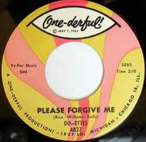 The Du-Ettes : Please Forgive Me / Lonely Days (7", Single)