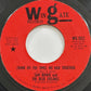 Sam Bowie And The Blue Feelings : (Think Of) The Times We Had Together (7", Single)