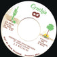 J. J. Williams : Hooked And Heartbroken (7")