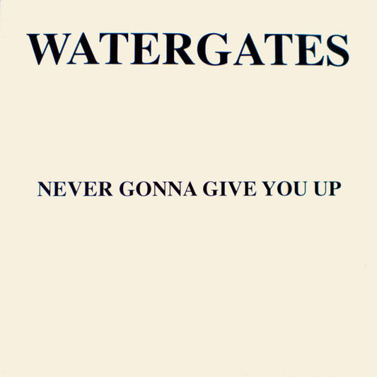 Watergates : Never Gonna Give You Up (12", Single)