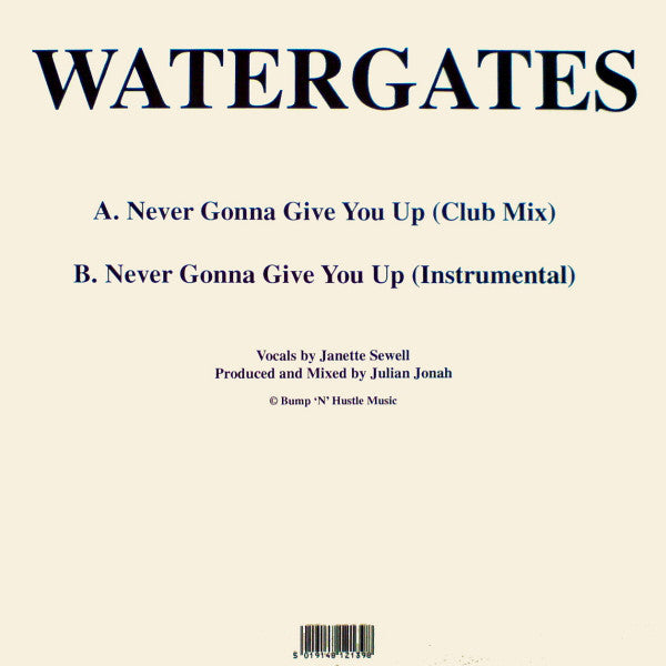 Watergates : Never Gonna Give You Up (12", Single)