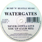 Watergates : Never Gonna Give You Up (12", Single)