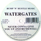 Watergates : Never Gonna Give You Up (12", Single)