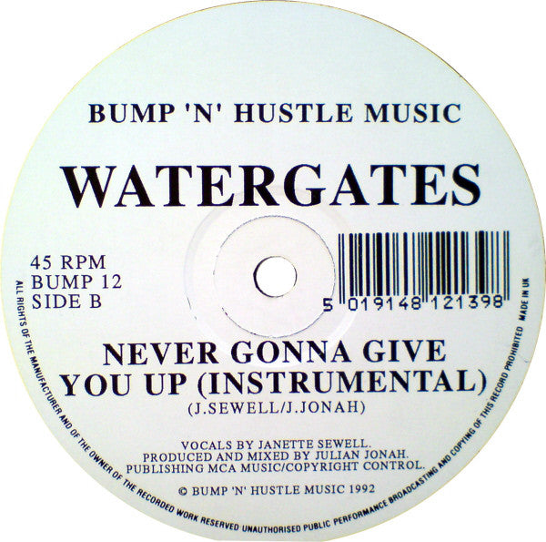 Watergates : Never Gonna Give You Up (12", Single)