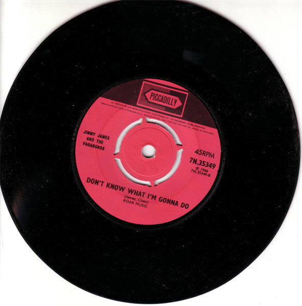 Jimmy James & The Vagabonds : Ain't Love Good, Ain't Love Proud / Don't Know What I'm Gonna Do (7", Single)