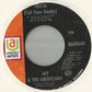 Jay & The Americans : Tricia (Tell Your Daddy) (7")