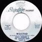 Chuck Bernard & The Satellite Band : Let's Go Get Stoned / Wasted (7", Single)