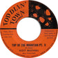 The Scott Brothers (8) : Top Of The Mountain (7")