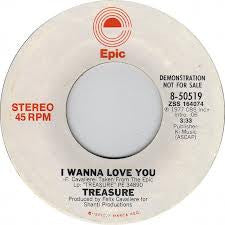 Treasure (7) : I Wanna Love You (7", Mono, Promo)