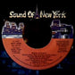 Wrecks-N-Effect : Club Head / Rock Steady (7", Single)