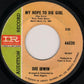 Big Dee Irwin : I Can't Stand The Pain / My Hope To Die Girl (7", Promo)