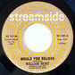 William Hunt* : Would You Believe (7")