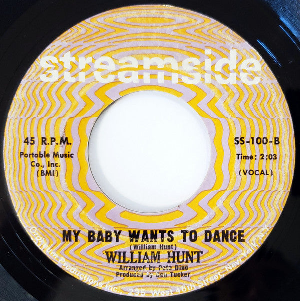 William Hunt* : Would You Believe (7")